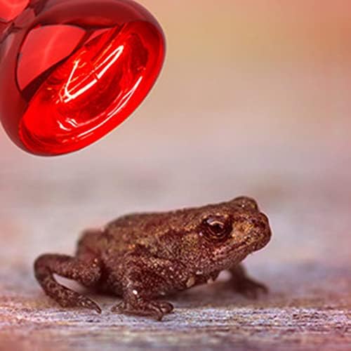 Aiicioo Hüllő Piros Hő Lámpa, Izzó - 150W Infravörös Sütkérező Spot Fény Rántott Sárkány Hőség Izzó Gecko Leguán Kígyó Labdát