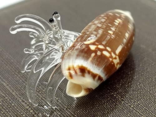 Sansukjai Sea Shell Kagyló Remete Rák Kagyló Apró Miniatűr Figurákat Strand Állatok Kézzel Fúvott Üveg-Művészet Természetes
