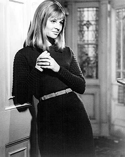 Julie Christie mosolyogva pózol, a fekete ruhát, 1965 filmet Drágám 8x10 hüvelyk fotó